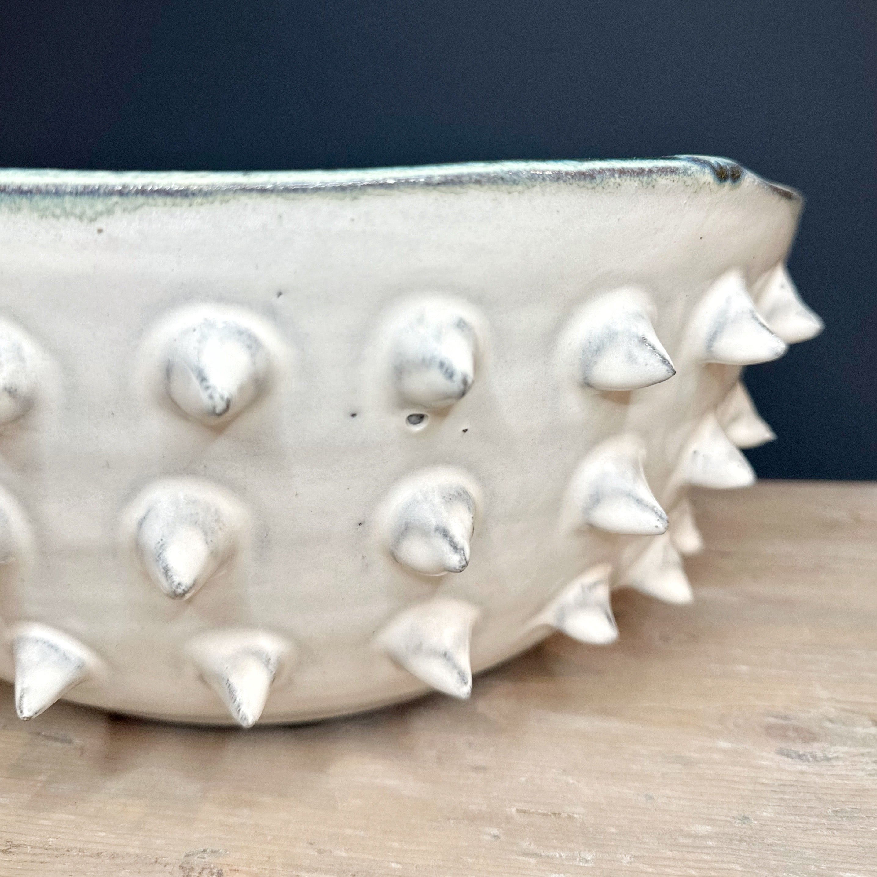 Spiked Bowl