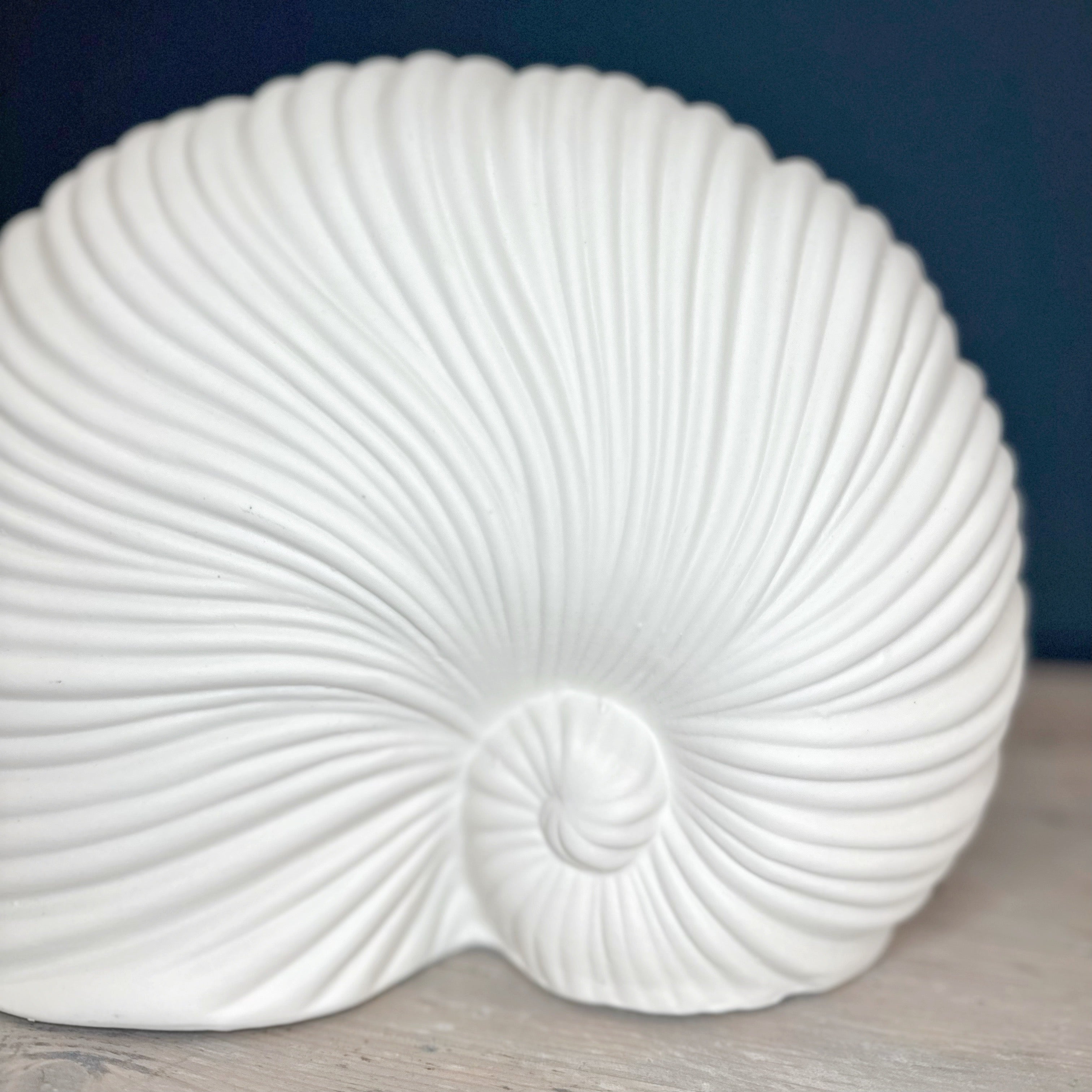 White Sea Snail Ornament
