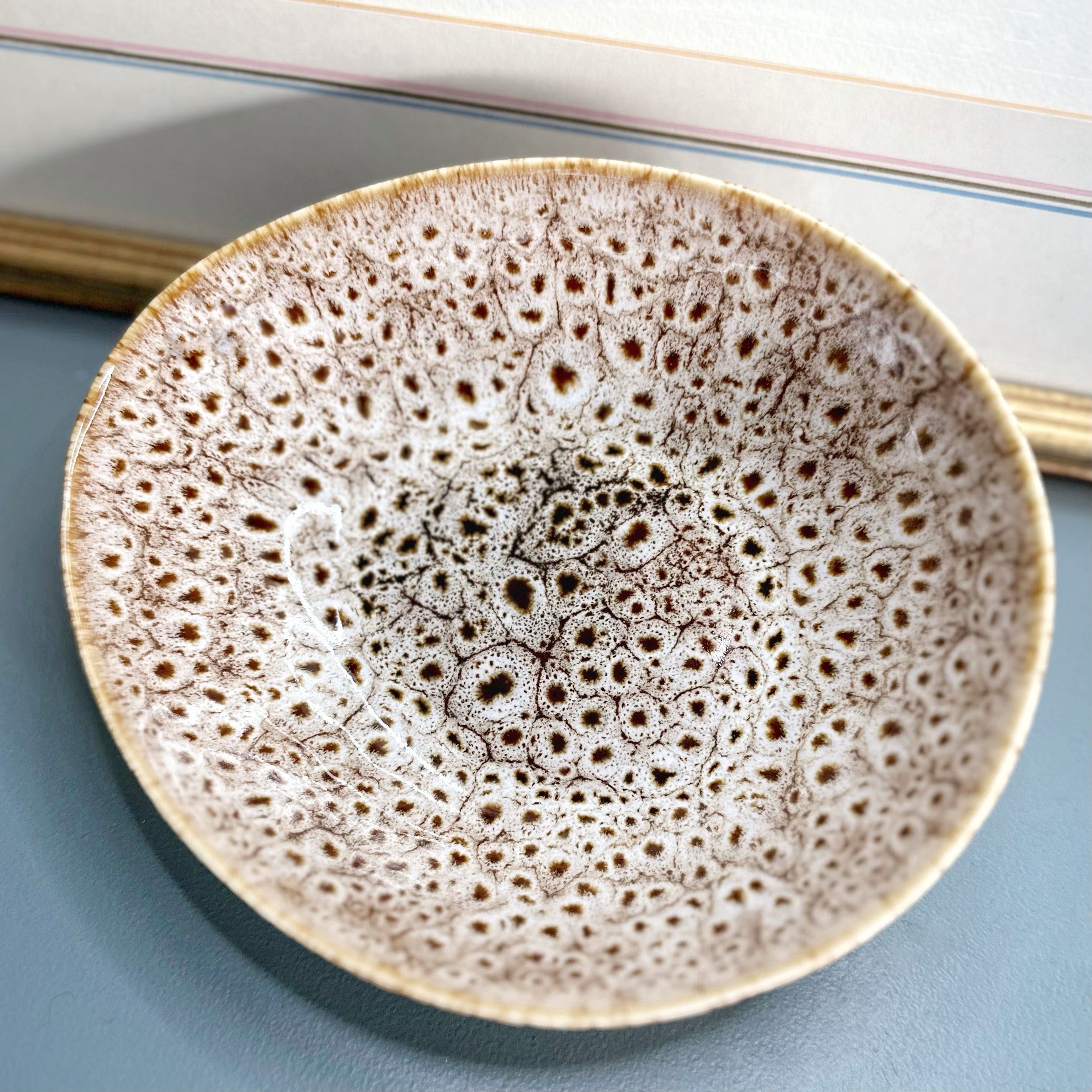 Speckled Bowl