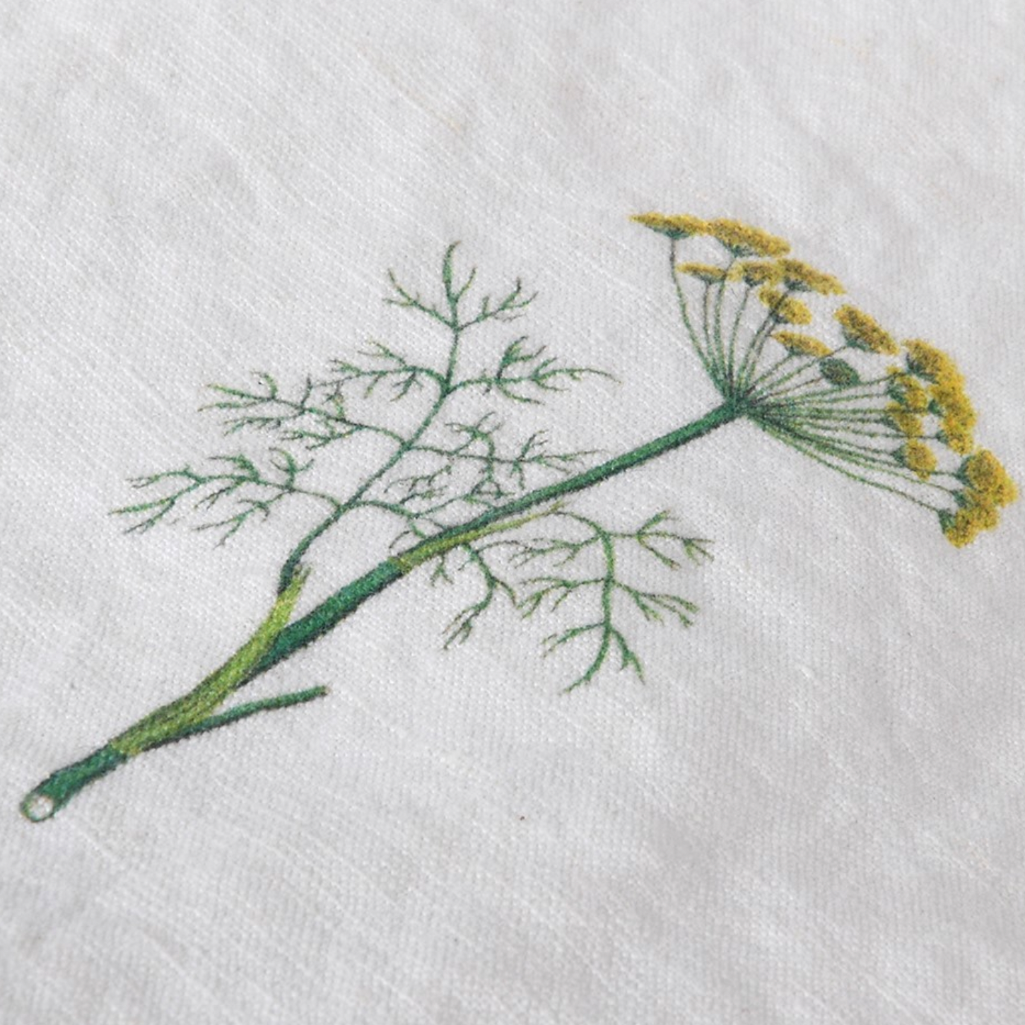 Set of 4 Queen Anne Lace Floral Cotton Napkins