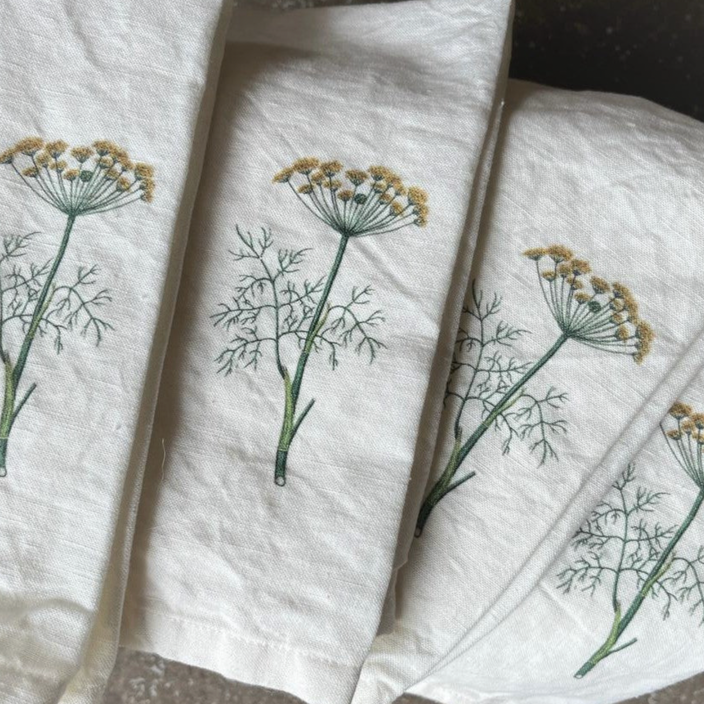 Set of 4 Queen Anne Lace Floral Cotton Napkins